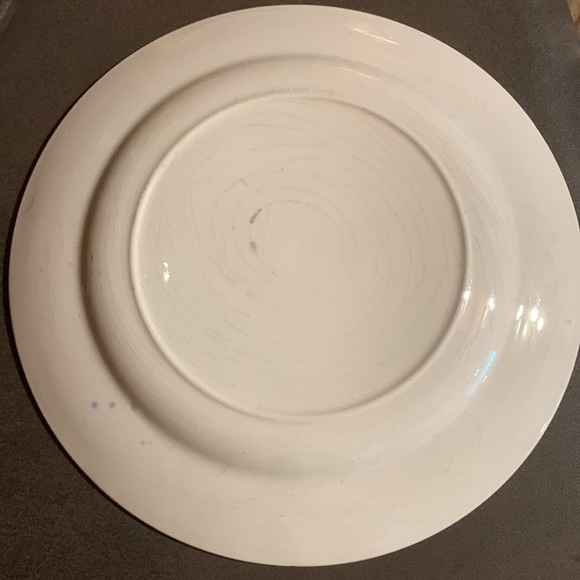 1960s Blue & White Ceramic Colorado Tourist Souvenir Collectible Display Plate - Picture 10 of 17